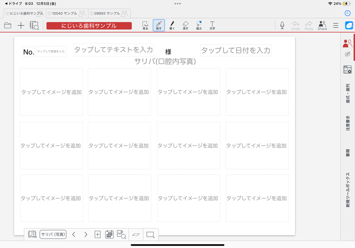 サリバ（写真）